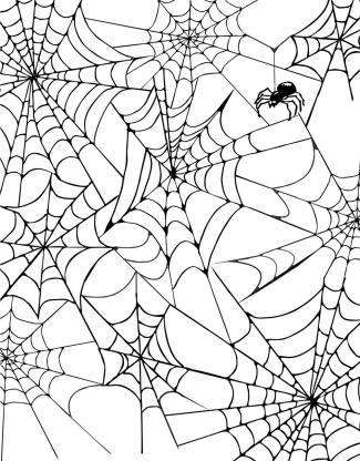 Spider Web Background Rubber Stamp from The Old Island Stamp Company